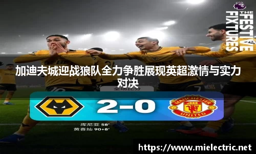 加迪夫城迎战狼队全力争胜展现英超激情与实力对决